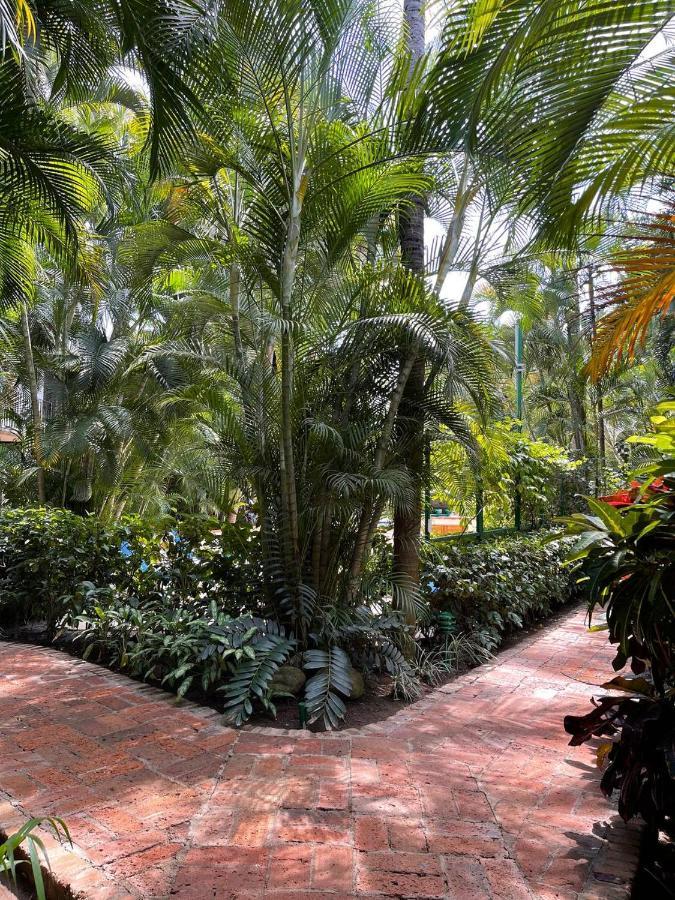 The Best Of Marbella Puerto Vallarta Buitenkant foto